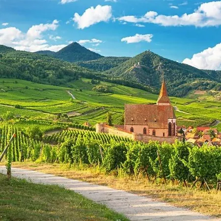 Apartment La Grange - Ground Floor Apartment, Terrace, Free Private Parking, Near Colmar *