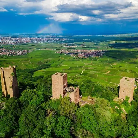 La Grange - Ground Floor Apartment, Terrace, Free Private Parking, Near Colmar Apartmán Sainte-Croix-en-Plaine