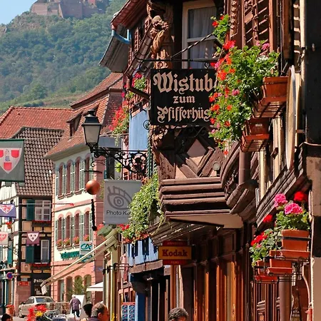 La Grange - Ground Floor Apartment, Terrace, Free Private Parking, Near Colmar Apartmán