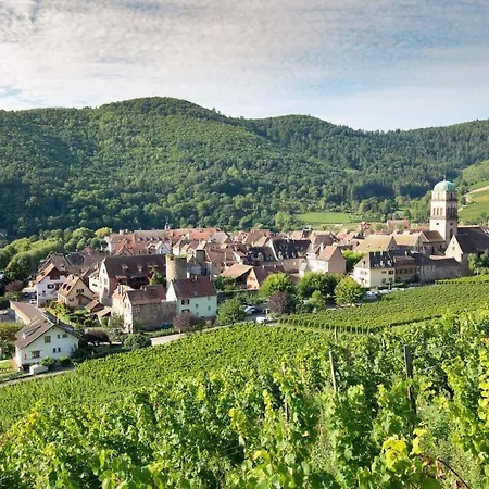 Apartment La Grange - Ground Floor Apartment, Terrace, Free Private Parking, Near Colmar *