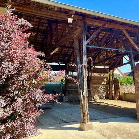 La Grange - Ground Floor Apartment, Terrace, Free Private Parking, Near Colmar Apartment Sainte-Croix-en-Plaine